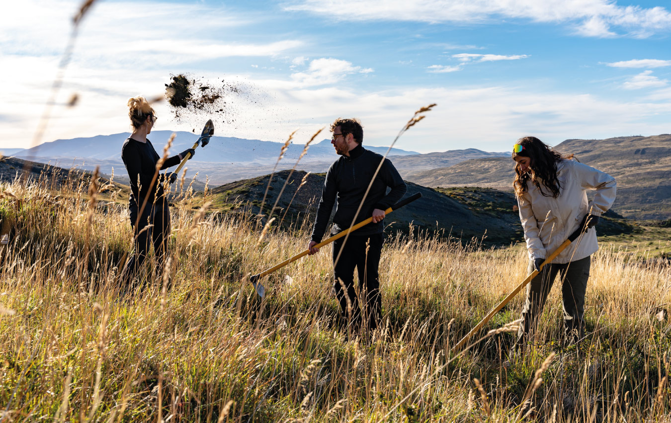 02-Jan-29-2026-07-03-30-2964-PM