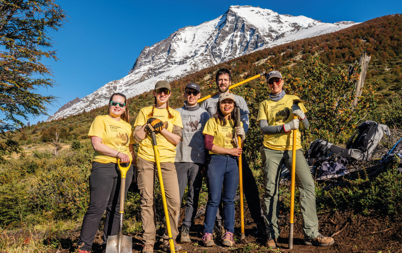 04-Jan-29-2026-07-03-52-5397-PM