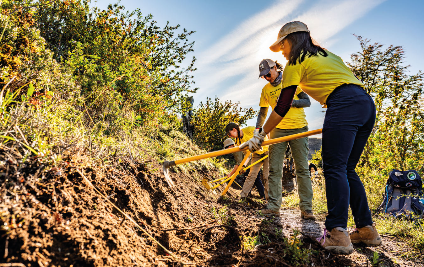 06-Jan-29-2026-07-04-00-0417-PM