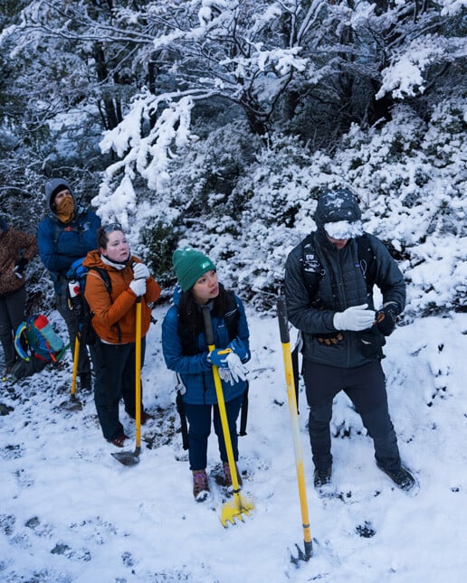 10 volunteers for 10 days Reconstruction of Base Torres Trail