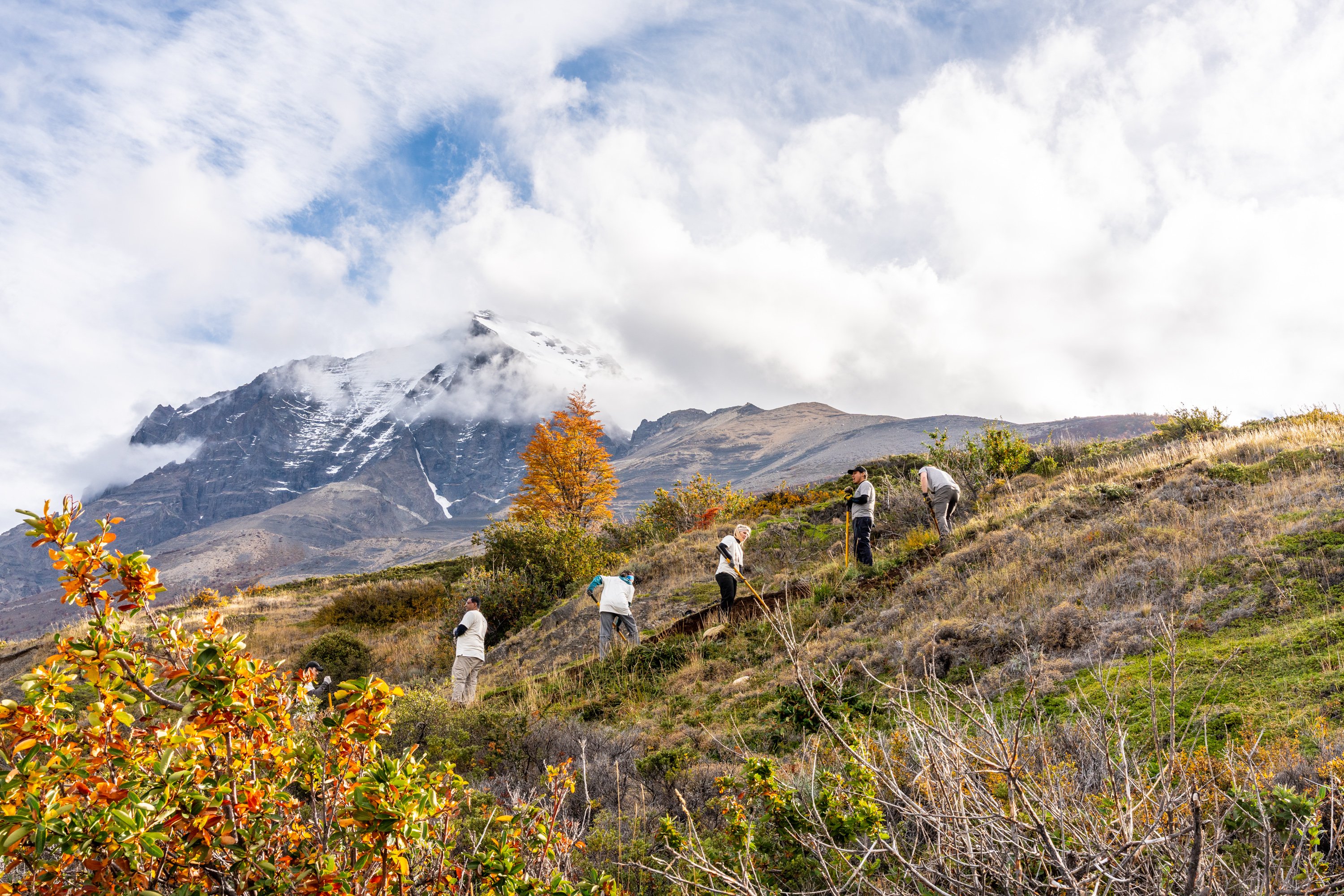 VOLUNTARIOS_2025_G2_SELECCI0N-84